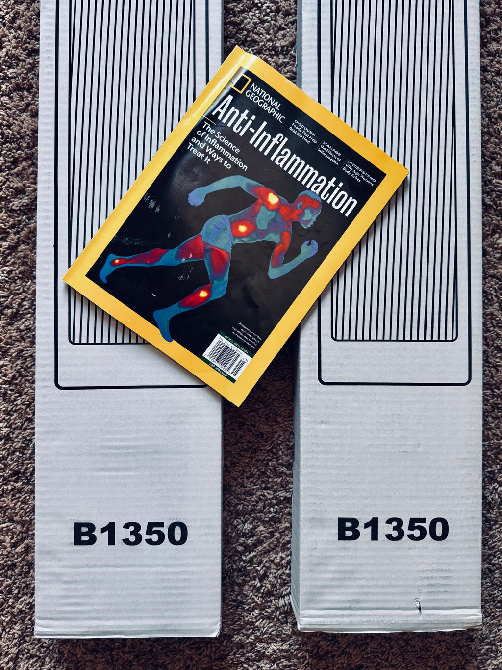 Infrared Heaters for Hot Yoga BILUX HOT YOGA Long Wave Ceiling Mount Home Kit 75 sq. ft., 2400W, 240V