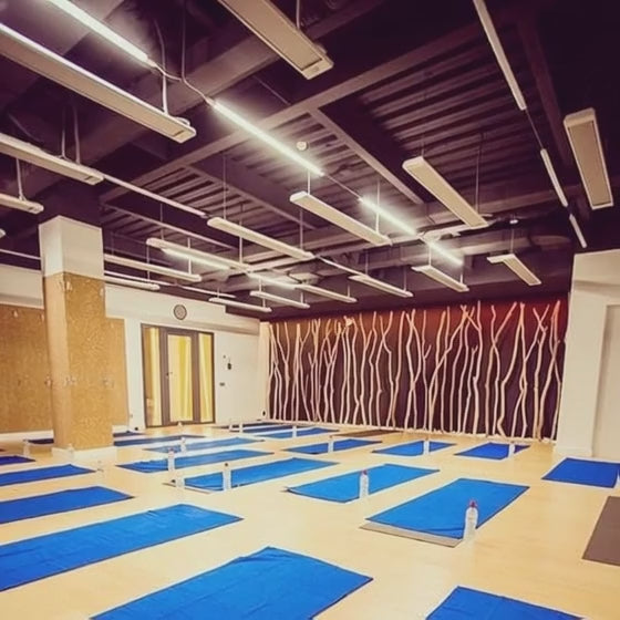 Infrared Heaters for Hot Yoga BILUX HOT YOGA Long Wave Ceiling Mount Kit "Studio" 225 Sq Ft 7200W 240V